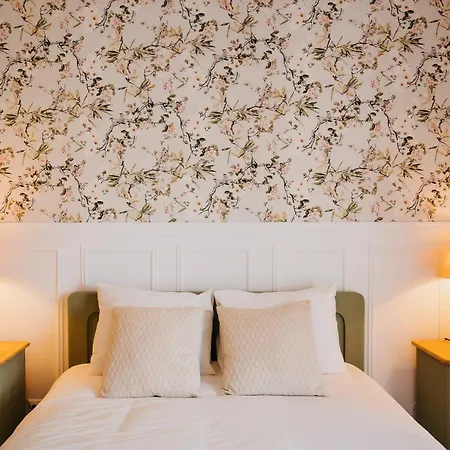 Rafa קוסטה נובה